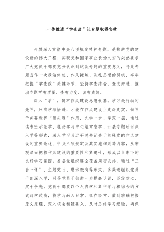 一体推进“学查改”让专题取得实效