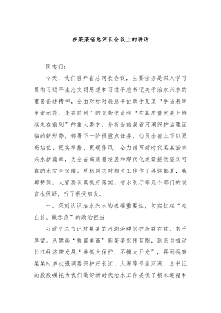 在某某省总河长会议上的讲话