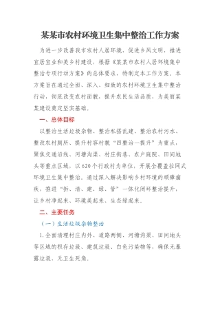 某某市农村环境卫生集中整治工作方案