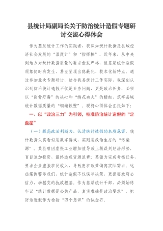 县统计局副局长关于防治统计造假专题研讨交流心得体会