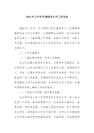 2025年上半年XX镇政务公开工作总结