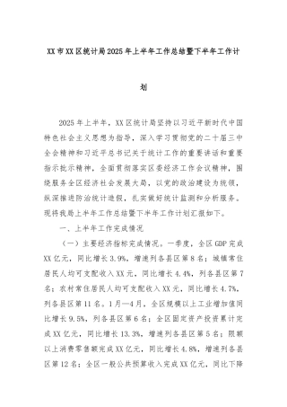 XX市XX区统计局2025年上半年工作总结暨下半年工作计划