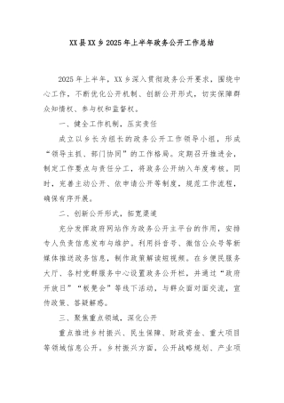 XX县XX乡2025年上半年政务公开工作总结
