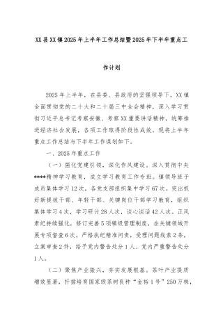 XX县XX镇2025年上半年工作总结暨2025年下半年重点工作计划
