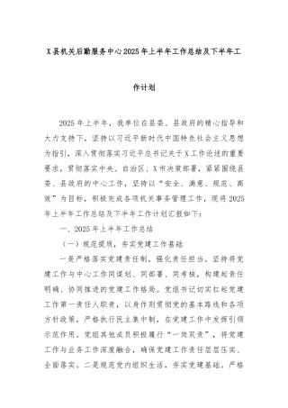 X县机关后勤服务中心2025年上半年工作总结及下半年工作计划