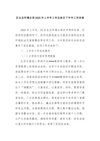 区生态环境分局2025年上半年工作总结及下半年工作安排