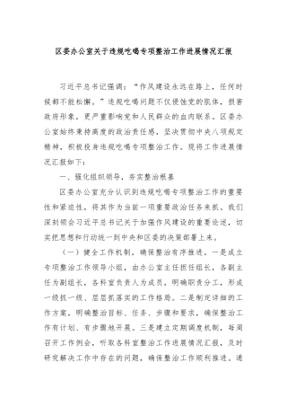 区委办公室关于违规吃喝专项整治工作进展情况汇报
