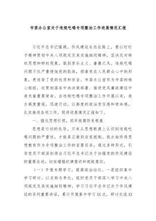 市委办公室关于违规吃喝专项整治工作进展情况汇报