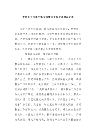 市委关于违规吃喝专项整治工作进展情况汇报