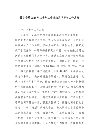 县公安局2025年上半年工作总结及下半年工作思路