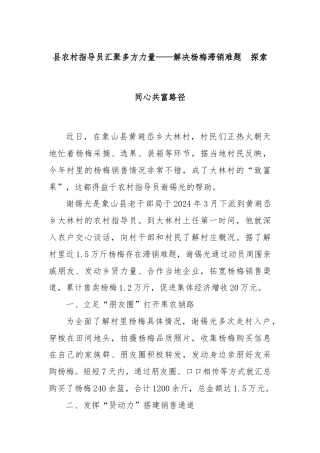 县农村指导员汇聚多方力量——解决杨梅滞销难题  探索同心共富路径