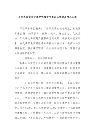县委办公室关于违规吃喝专项整治工作进展情况汇报