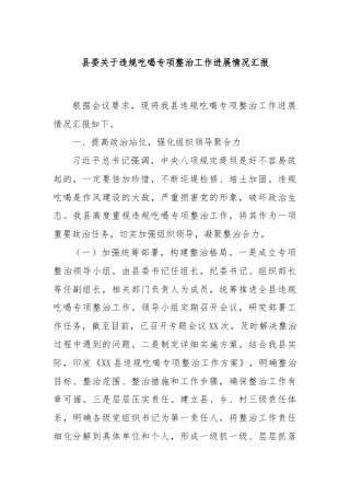 县委关于违规吃喝专项整治工作进展情况汇报