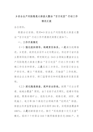 乡安全生产风险隐患大排查大整治“百日攻坚”行动工作情况汇报