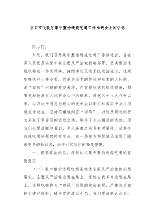 在X市民政厅集中整治违规吃喝工作推进会上的讲话