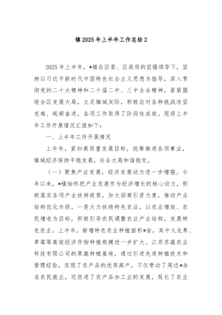 镇2025年上半年工作总结2