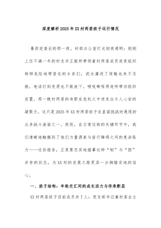 2025年XX村两委班子运行情况深度体检报告