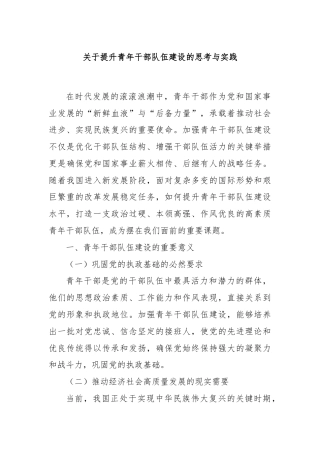 关于提升青年干部队伍建设的思考与实践
