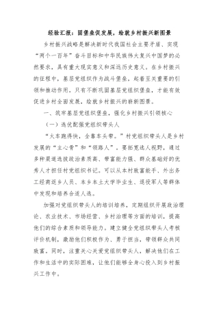 经验汇报：固堡垒促发展，绘就乡村振兴新图景