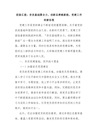 经验汇报：夯实基础聚合力，创新品牌赋新能，党建工作的新征程
