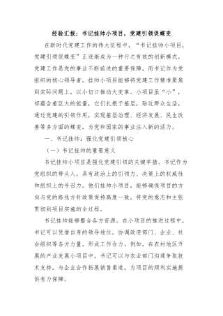 经验汇报：书记挂帅小项目，党建引领促蝶变