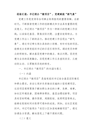 经验汇报：书记领办“微项目”，党建赋能“新气象”