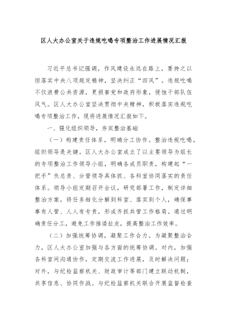 区人大办公室关于违规吃喝专项整治工作进展情况汇报