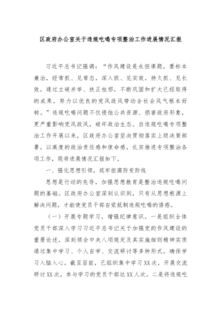 区政府办公室关于违规吃喝专项整治工作进展情况汇报