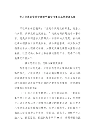 市人大办公室关于违规吃喝专项整治工作进展汇报
