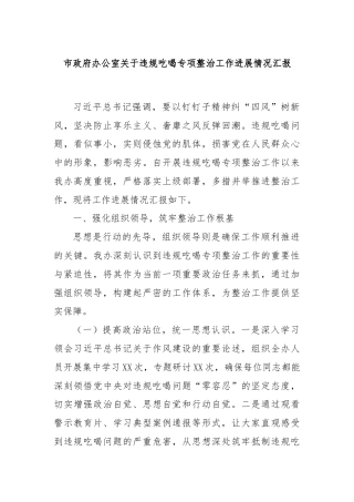 市政府办公室关于违规吃喝专项整治工作进展情况汇报