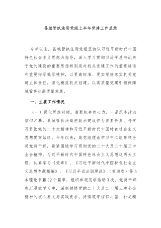 县城管执法局党组上半年党建工作总结
