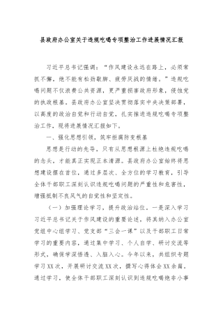 县政府办公室关于违规吃喝专项整治工作进展情况汇报