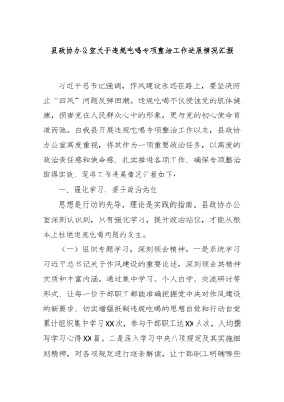 县政协办公室关于违规吃喝专项整治工作进展情况汇报