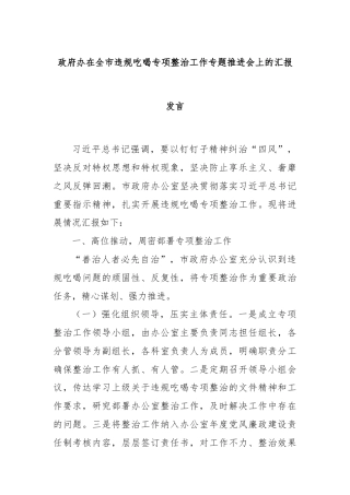 政府办在全市违规吃喝专项整治工作专题推进会上的汇报发言