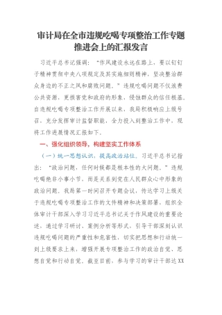 审计局在全市违规吃喝专项整治工作专题推进会上的汇报发言