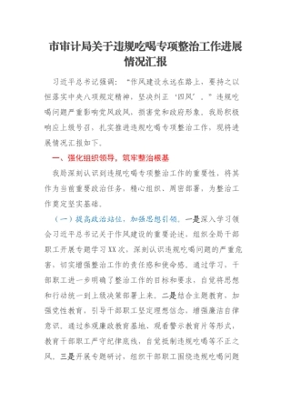 市审计局关于违规吃喝专项整治工作进展情况汇报