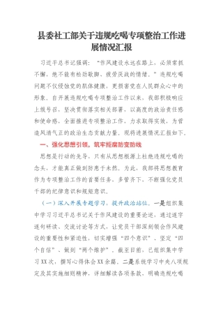 县委社工部关于违规吃喝专项整治工作进展情况汇报