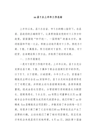 xx县T办上半年工作总结