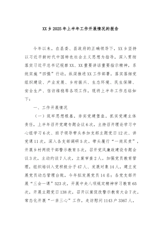 XX乡2025年上半年工作开展情况的报告
