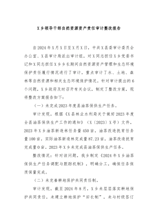 X乡领导干部自然资源资产责任审计整改报告