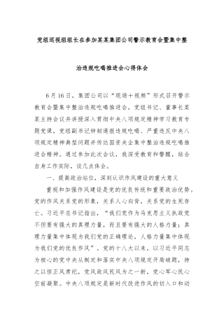 党组巡视组组长在参加某某集团公司警示教育会暨集中整治违规吃喝推进会心得体会