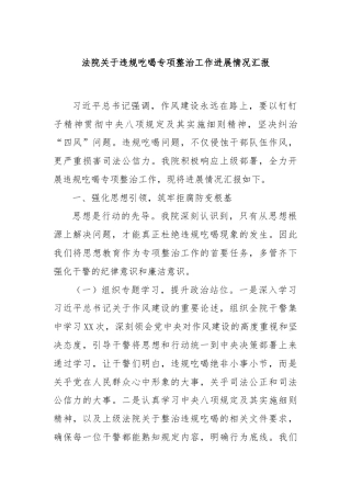 法院关于违规吃喝专项整治工作进展情况汇报