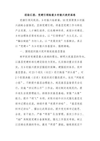 经验汇报：党建引领绘就乡村振兴美好画卷
