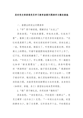 某村党支部普通党员学习教育查摆问题清单与整改措施