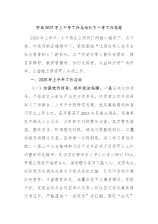 市局2025年上半年工作总结和下半年工作思路