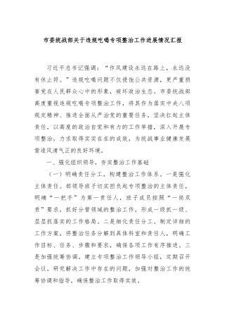 市委统战部关于违规吃喝专项整治工作进展情况汇报