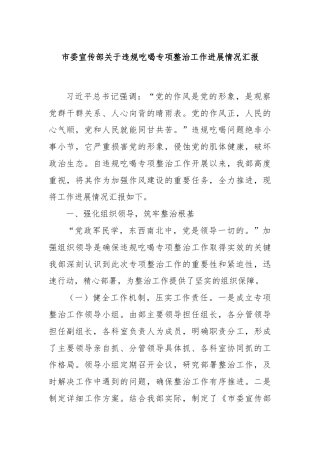 市委宣传部关于违规吃喝专项整治工作进展情况汇报
