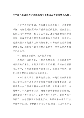 市中级人民法院关于违规吃喝专项整治工作进展情况汇报1