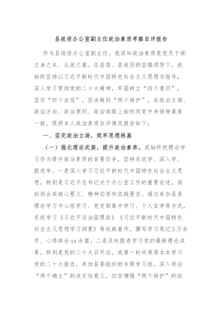 县政府办公室副主任政治素质考察自评报告