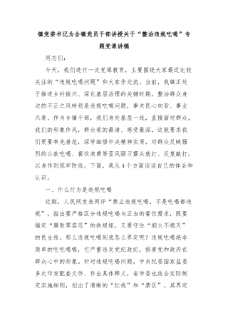 镇党委书记为全镇党员干部讲授关于“整治违规吃喝”专题党课讲稿